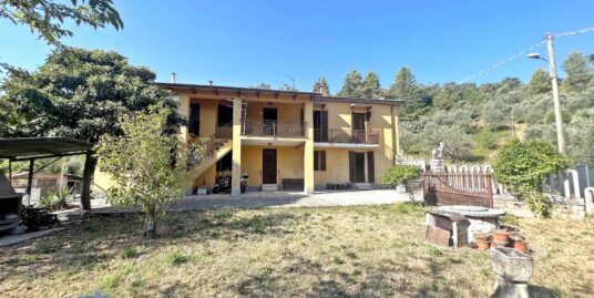 Casa semi indipendente   TERNI -VALENZA   10590RV40601